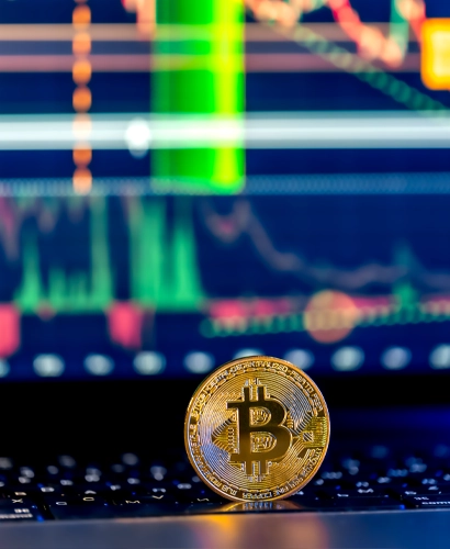 Ressort Finviora Ticaret Bilgileri